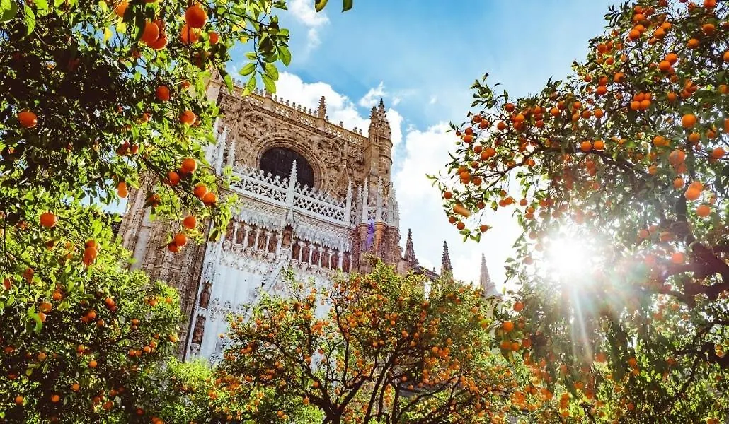 Epicenter Lujoso Apto Parking Gratis Perfecta Ubicacion Seville Apartment